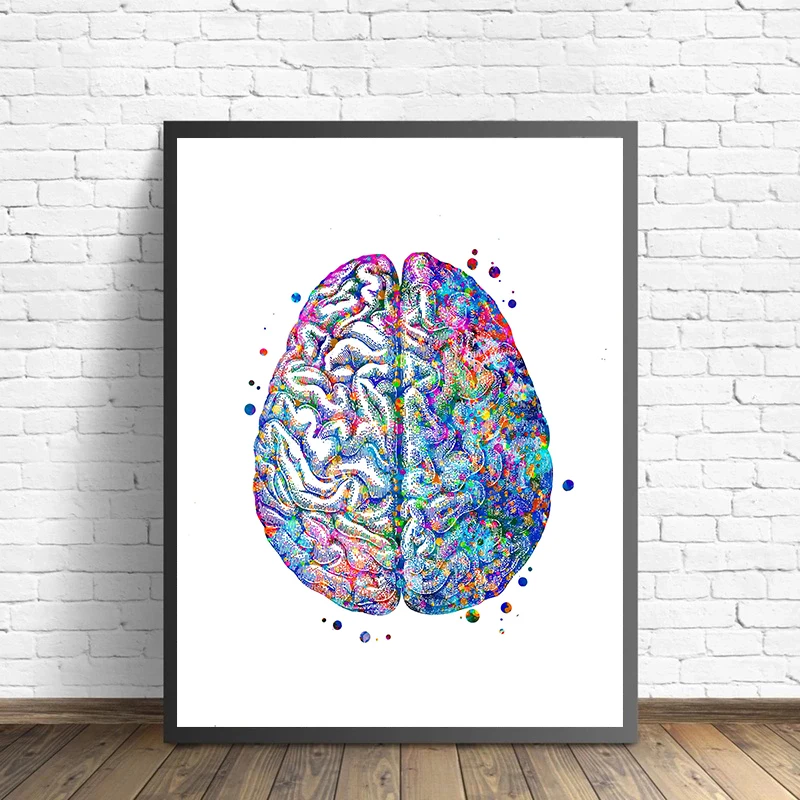 Anatomy Medical Poster Flower  - Medical Lab Posters reseña y precio