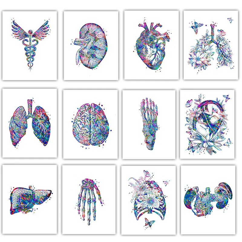 Póster Médico de Anatomía, Art - Medical Lab Posters reseña y precio