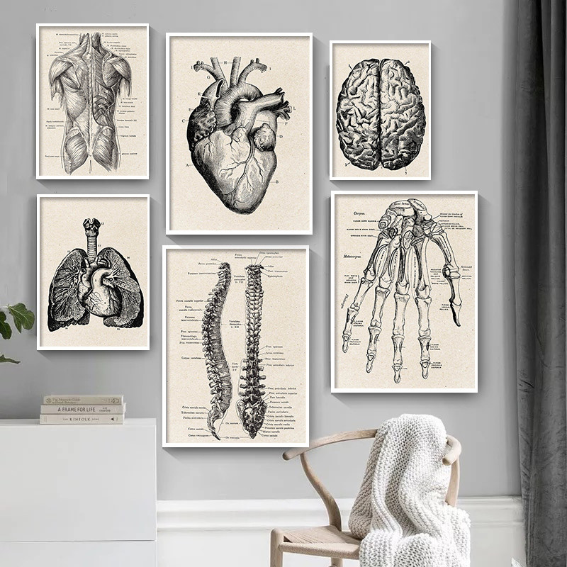 Póster artístico en lienzo con - Medical Lab Posters reseña y precio