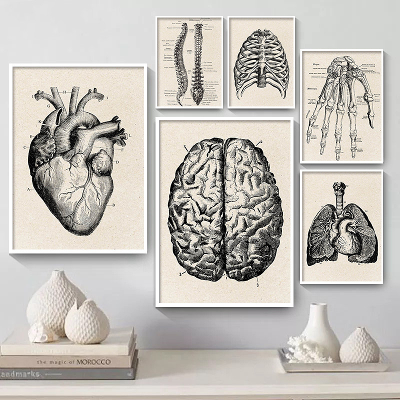Póster artístico en lienzo con - Medical Lab Posters reseña y precio