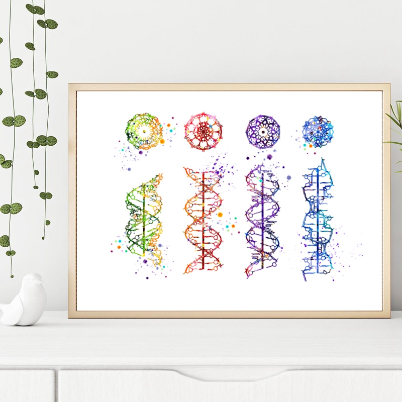Impresión de molécula de ADN,  - Medical Lab Posters reseña y precio